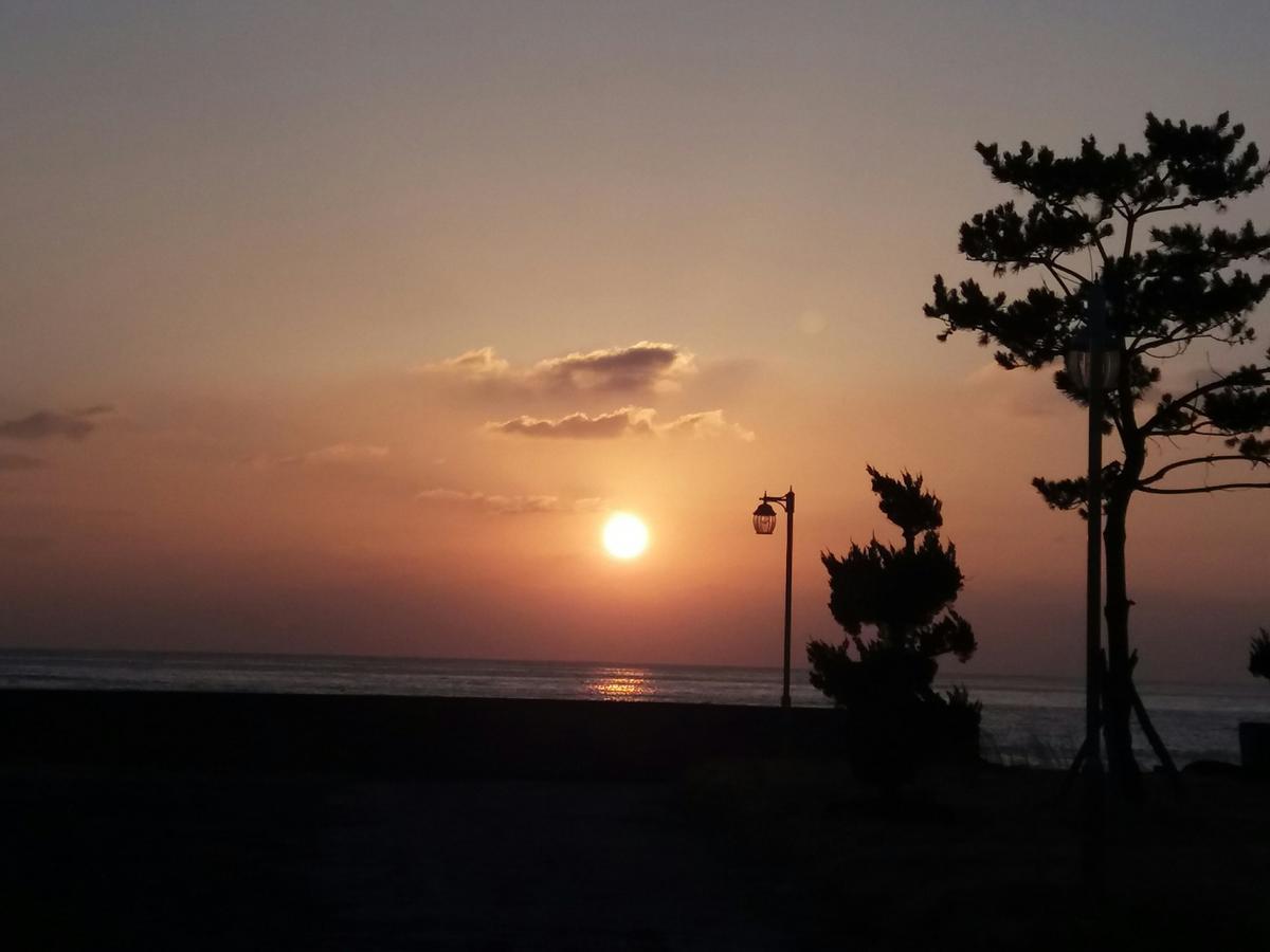 북마크 게스트하우스 서귀포 외부 사진